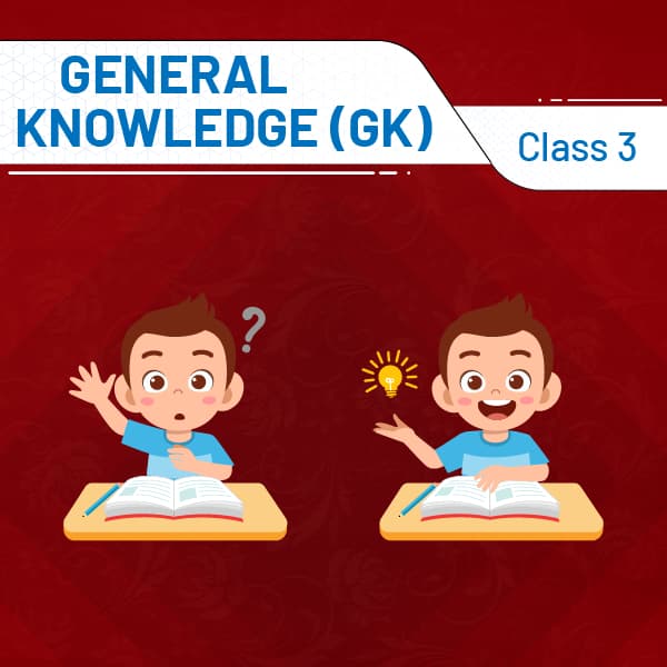 General Knowledge Class 3