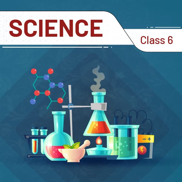 Science And Technology (Class 6)