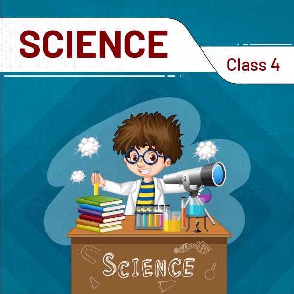 Science And Technology (Class 4)