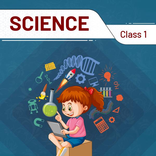 Science and Technology Class 1